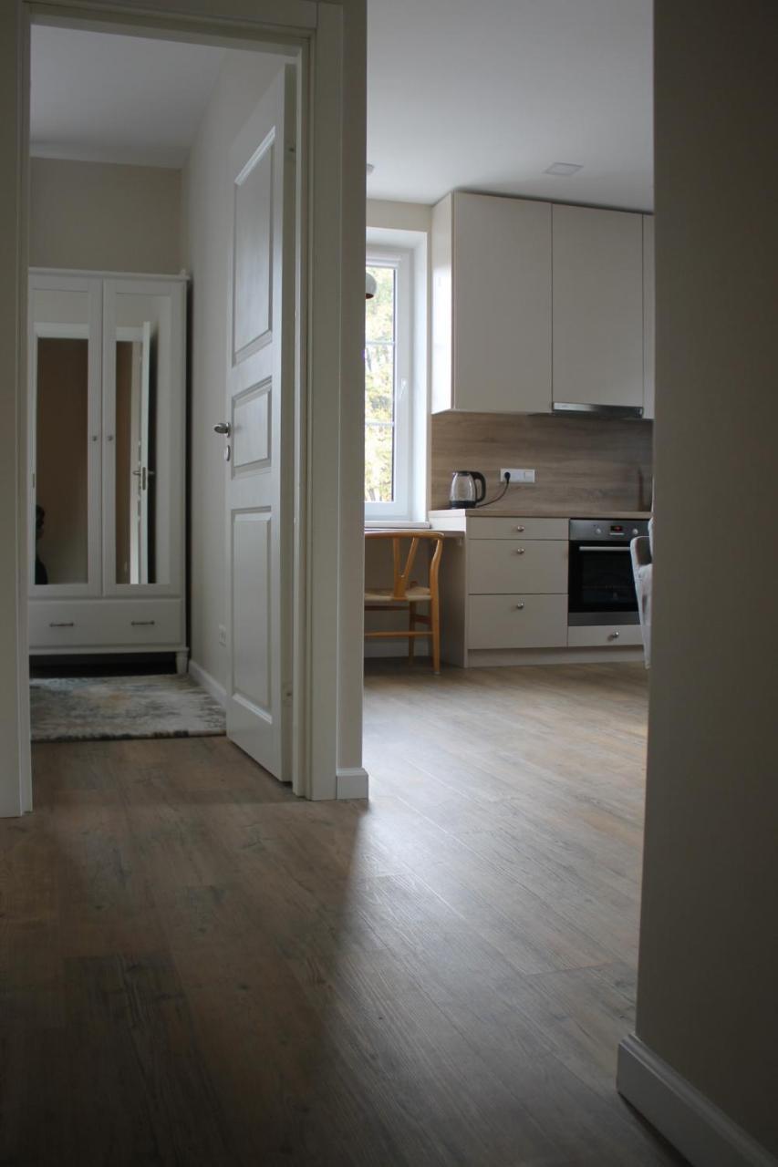 Smartflat & New Apartment City Center Kaunas Dış mekan fotoğraf
